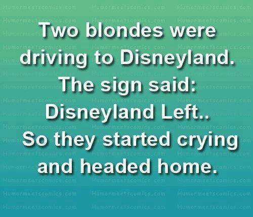 Wanna Go To&nbsp;Disneyland?