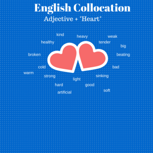 English Collocation (1)