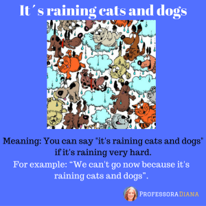 its-raining-cats-and-dogs-1