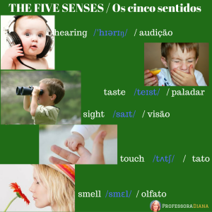the-five-senses-%2f-os-cinco-sentidos
