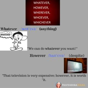 whatever-%2fw%c9%92t%cb%88%c9%9bv%c9%99%2f-anything