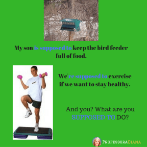 my-son-is-supposed-to-keep-this-bird-feeder-full-of-food